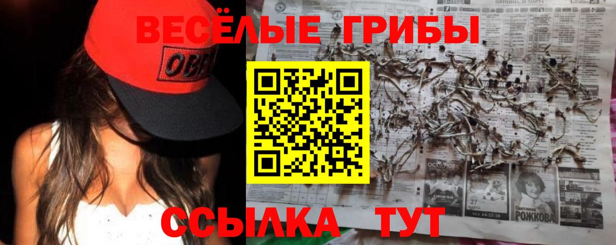 Псилоцибиновые грибы GOLDEN TEACHER  Вход с VPN  Волжский  Псилоцибиновые грибы MAGIC MUSHROOMS 